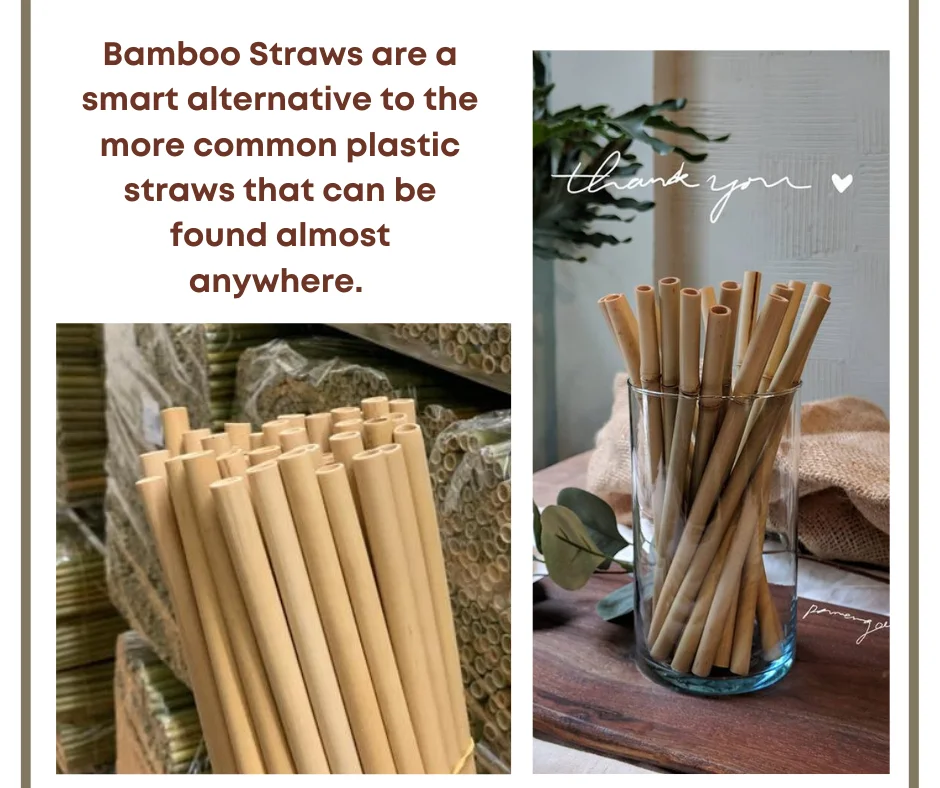 Wholesale Disposable Sustainable Natural Eco Friendly Bamboo Drinking ...