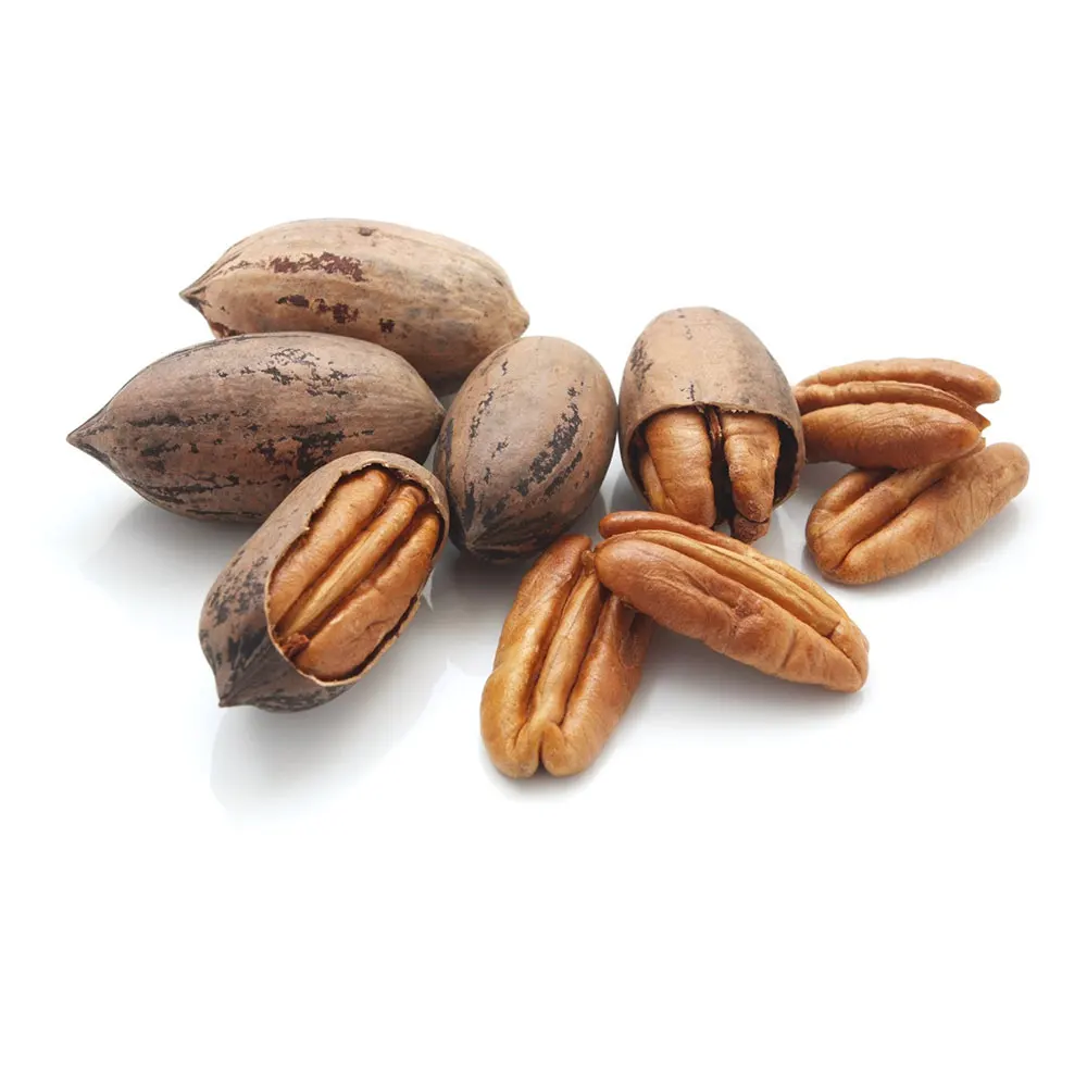 pecan nuts fresh pecans supplier nut low prices pecan with shell