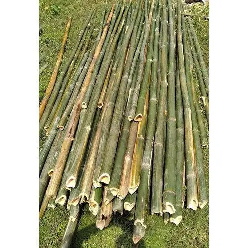 Садовая сушеная бамбуковая трость, бамбуковая палочка, бамбуковая палочка для plantns/бамбуковые трости/бамбуковая палочка