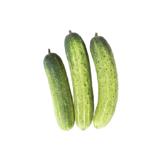 3 (1).png