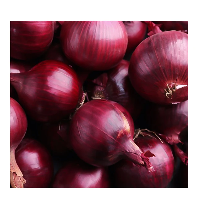 Premium Quality Fresh Onion At Lowest Rate