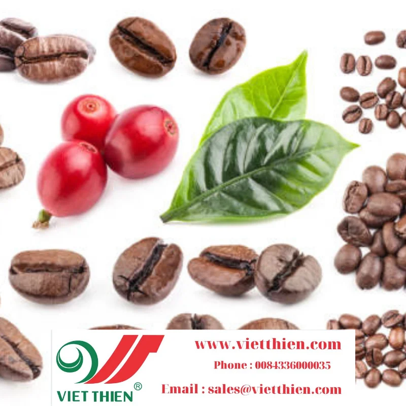 Кофе уже давно был знакомым напитком вьетнамцев, один из самых популярных типов кофе во Вьетнаме сегодня-робуста