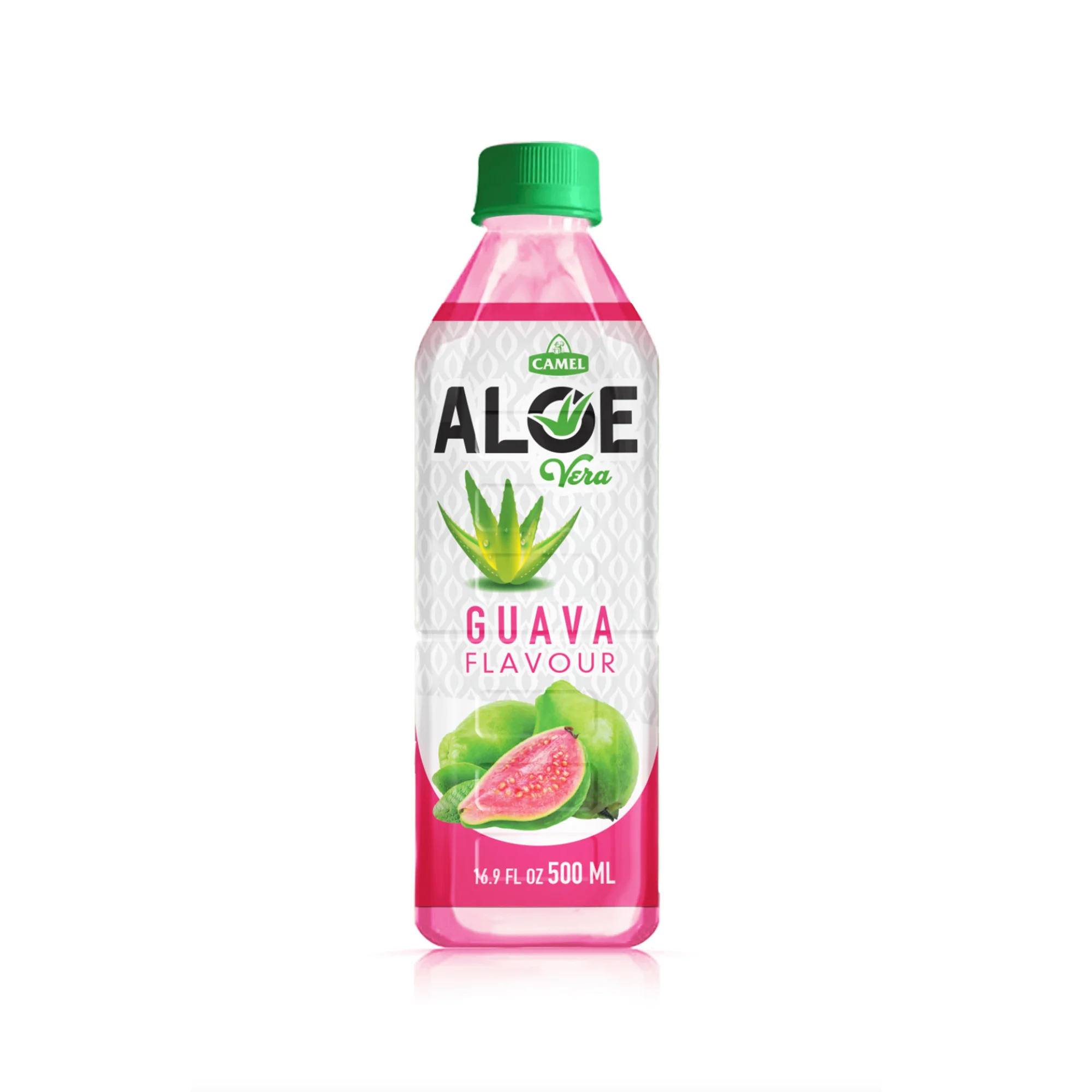 aloe vera pflanze amazon Buy house plants now Aloe vera main image 1