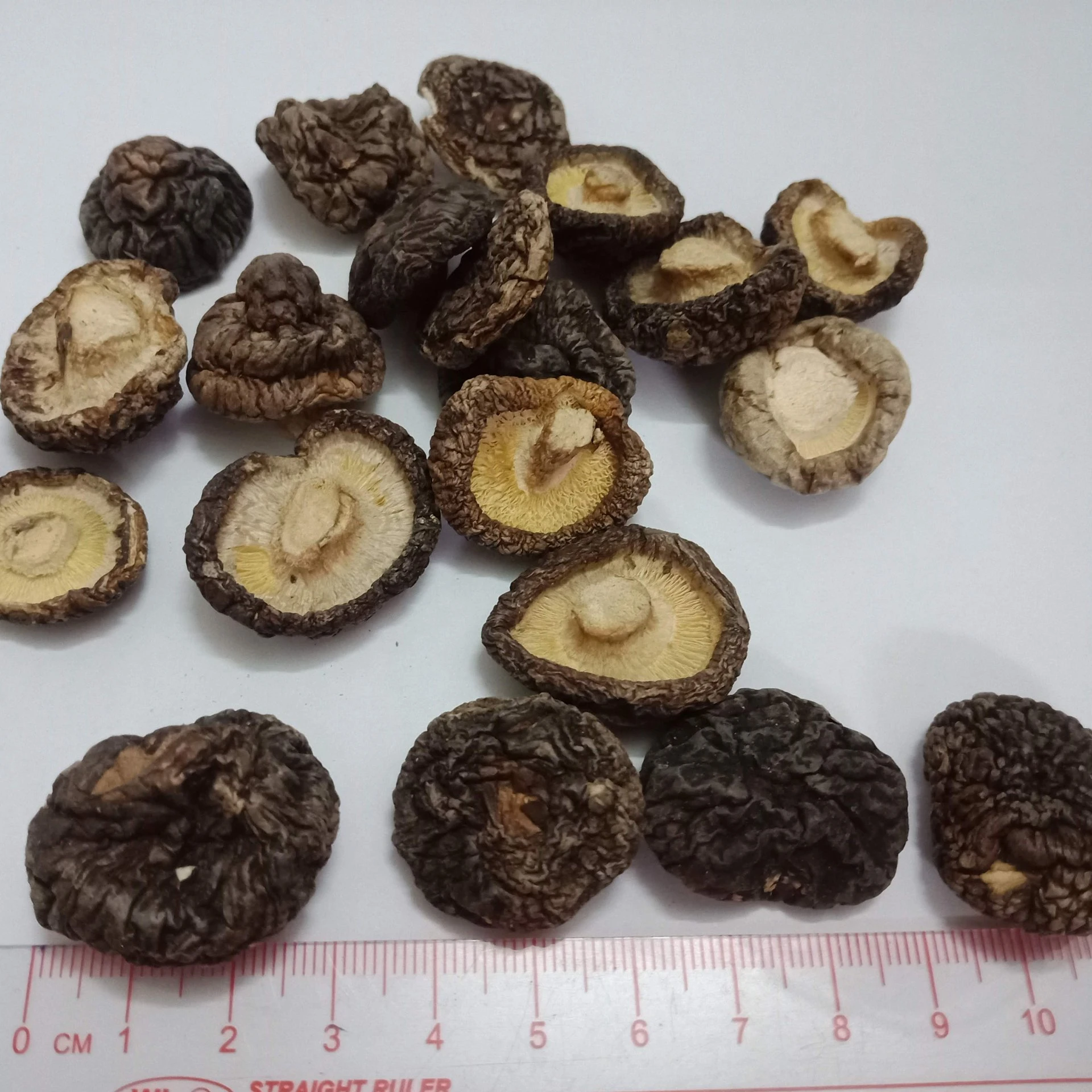 Оптовая продажа, органические сушеные грибы shiitake, экстракт грибов shiitake/Hana + 84 901 006 904