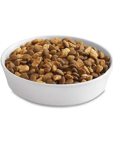 PURINA Pet Food Manufacturing Balanced Nutrition Pc Adult Dry Dog Food
