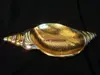 níquel y oro