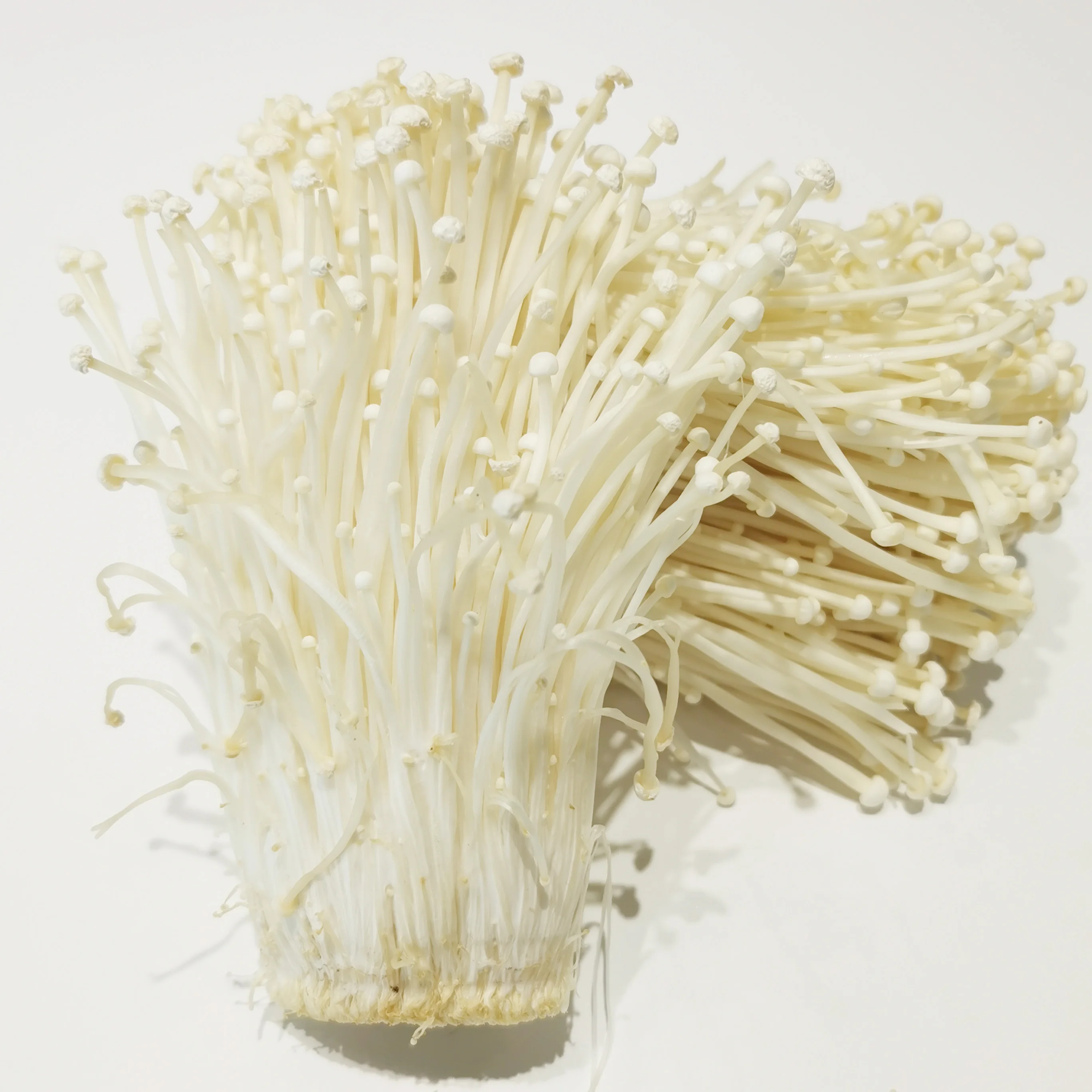 where to buy enoki mushrooms online