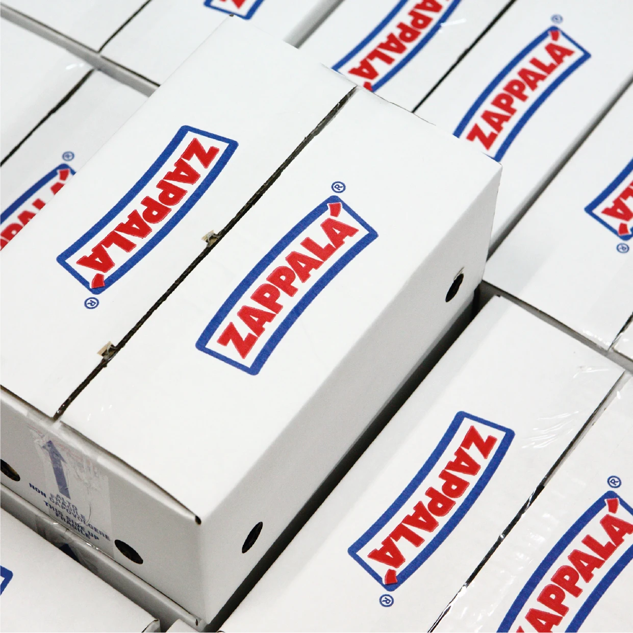 Italian Cheese High Quality Premium Pecorino Sliced Nature Gr.100 Made In Sicily Buy Cheese