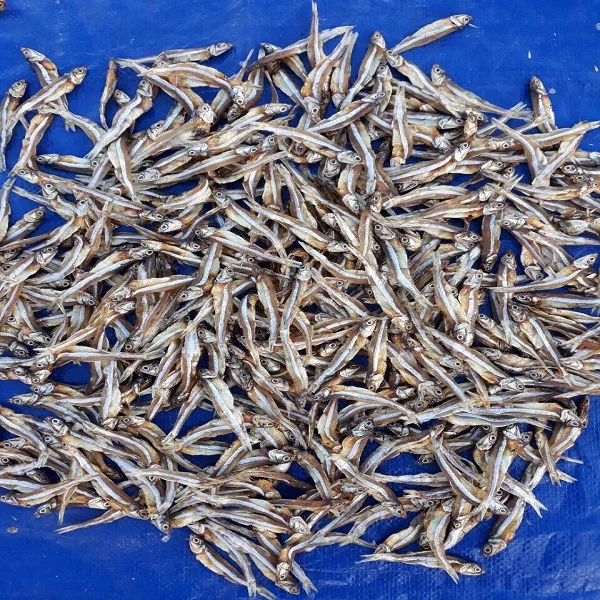 wholesale salted dried fish anchovy - w/s: 0084 387 264 621