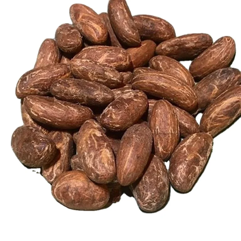 wholesale exporter hot sale high quility good price kola nut