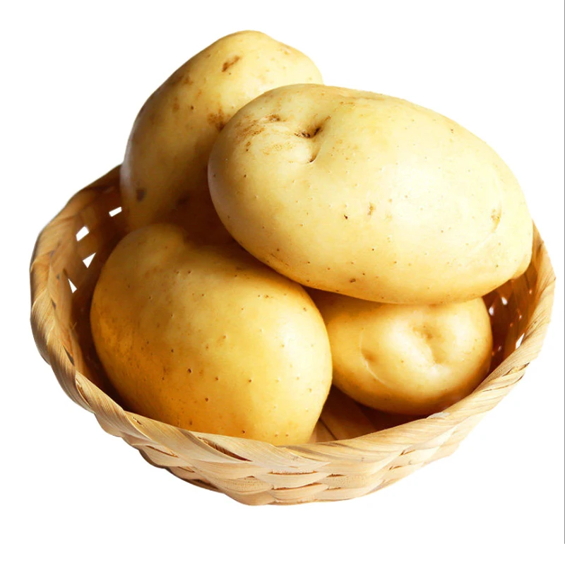 Fresh Potato/New Crops Diamond Potatoes/ New Harvest Organic Cheap Price Fresh Potato