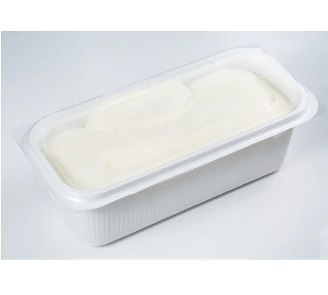Vanilla 2000gr Container Ice Cream