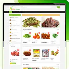 Лучшие интернет-сайты для покупки продуктов, разработка веб-сайта электронной коммерции | Чувствительный дизайн веб-сайта B2B