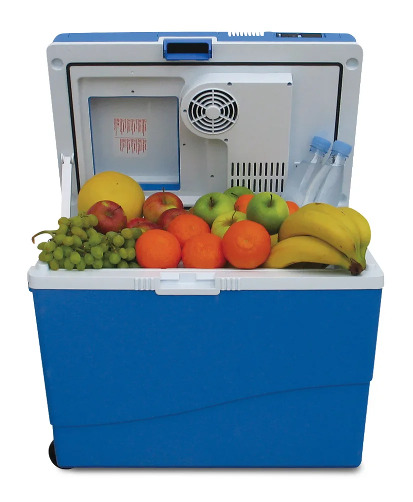 Thermoelectric Cooler & Warmer Buy Thermoelectric Cooler Warmer,Food