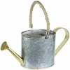 galvanised