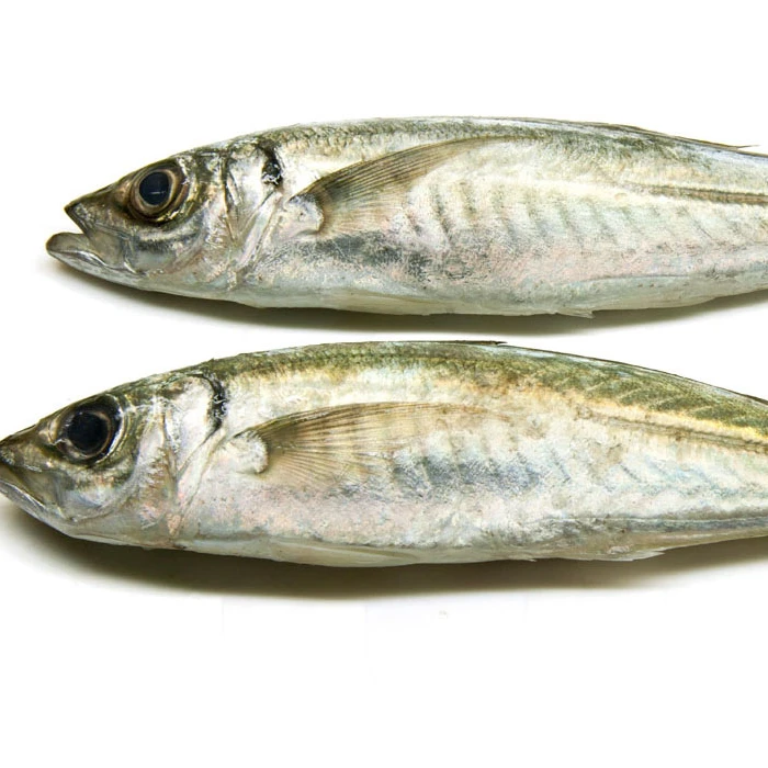 frozen yellow stripe trevally fish for exporting