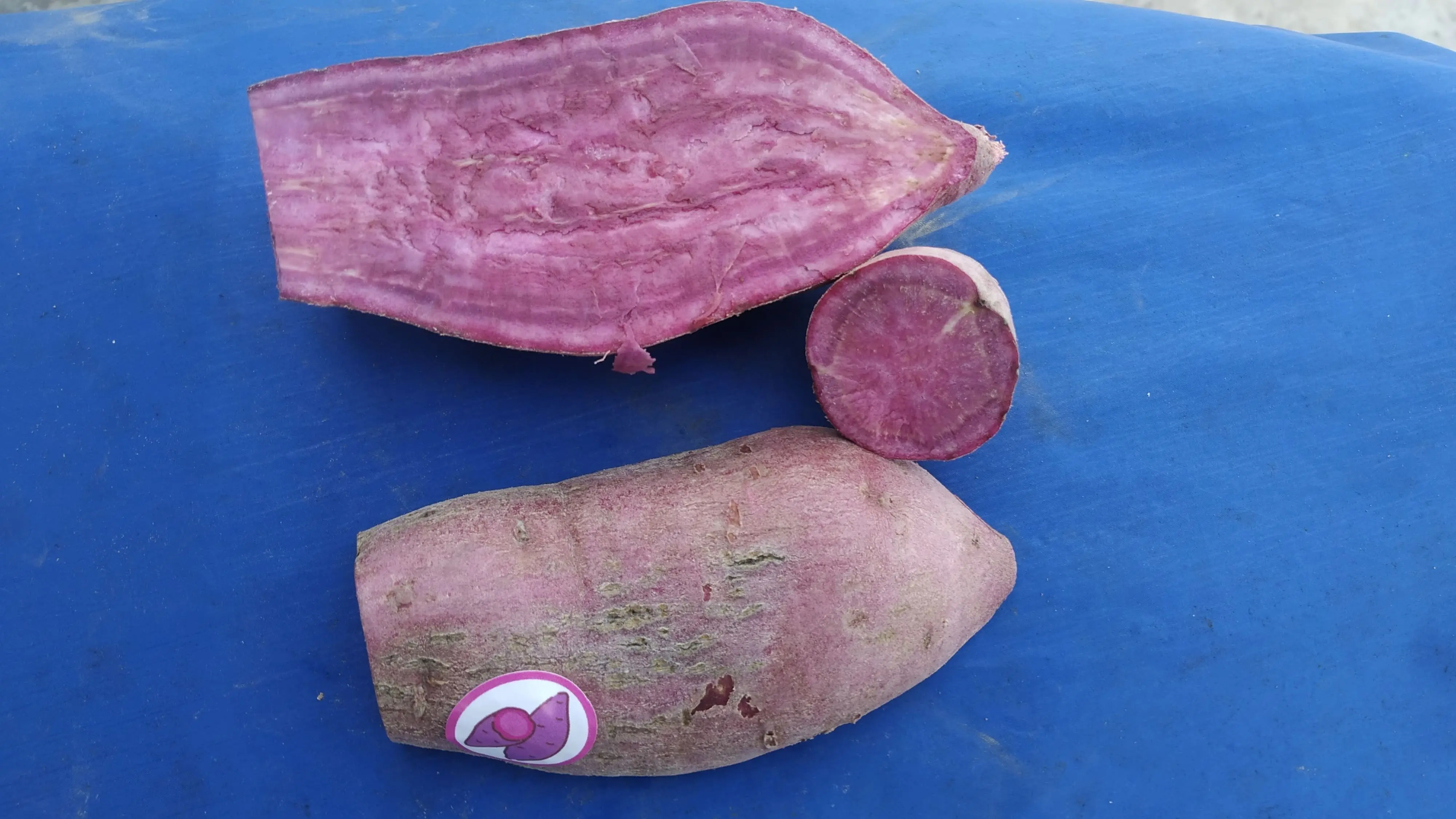 Fresh Purple Sweet Potato / Cheap Price Fresh Purple Sweet Potato Buy Japanese Fresh Purple