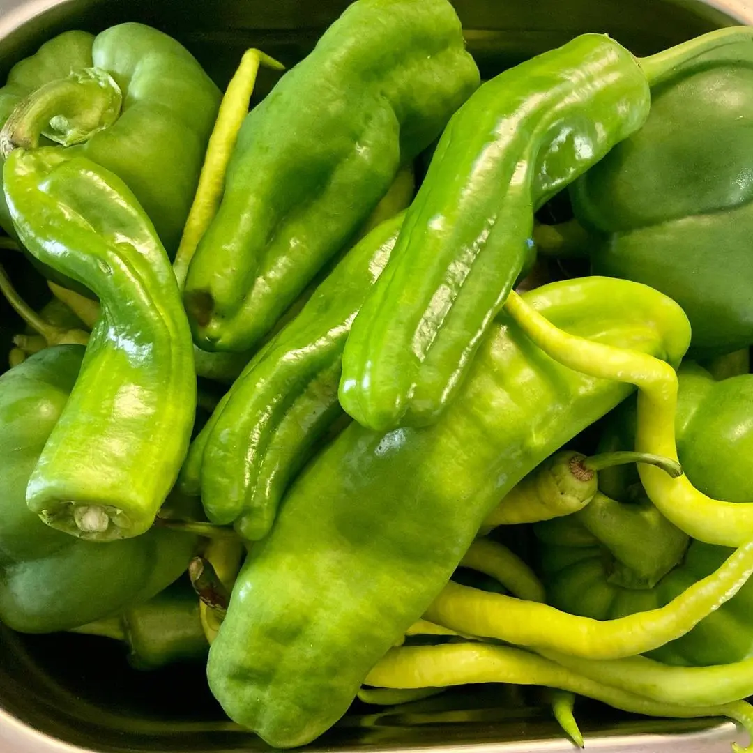 2021 fresh green jalapeno green pepper for sale - buy fresh