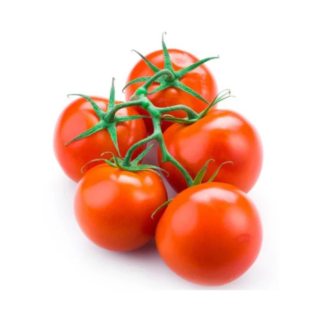 wholesale safe and pollution-free fresh red organic tomato for