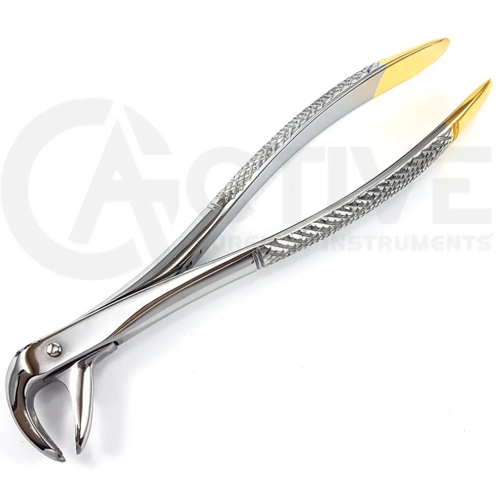 Stainless Steel Surgical Dental Extraction Forceps Tooth Extracting ...