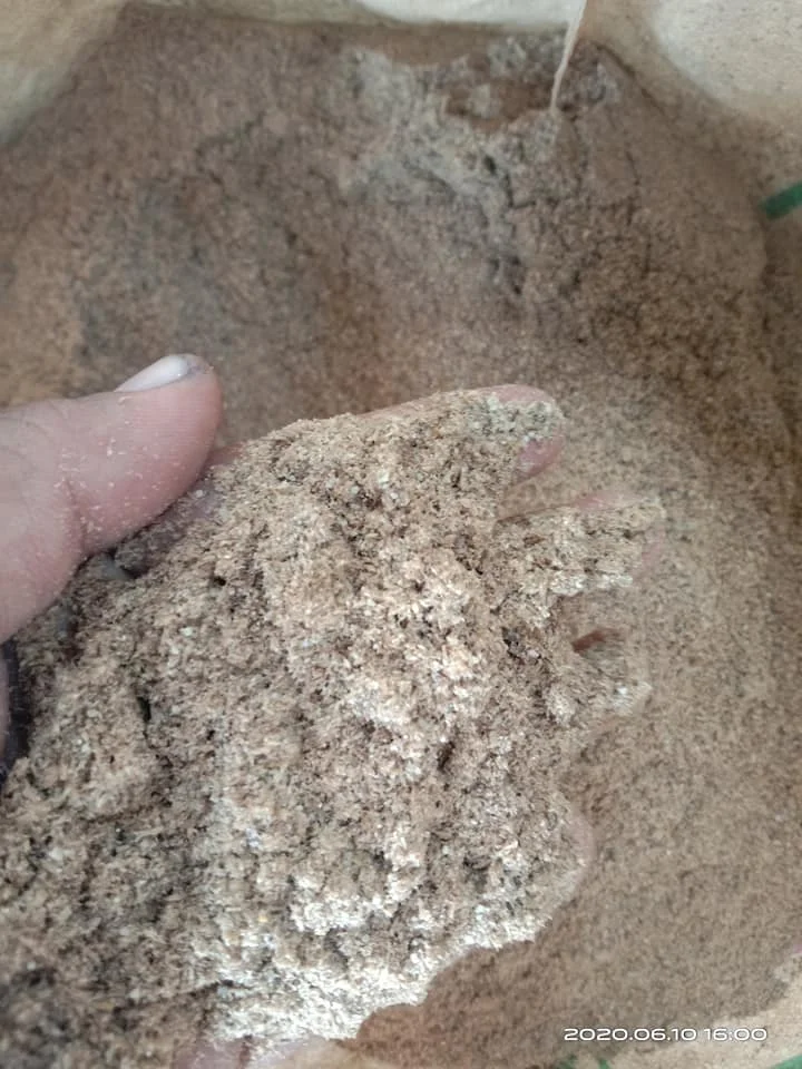 Fish Meal 2.jpg