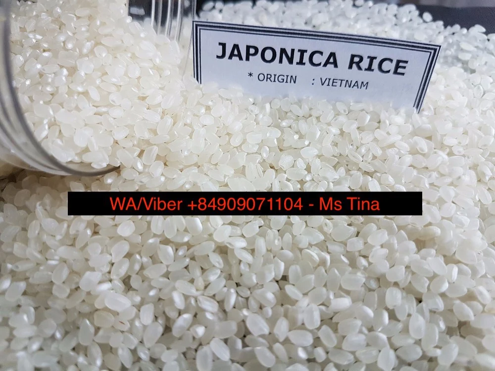 Japonica.jpg
