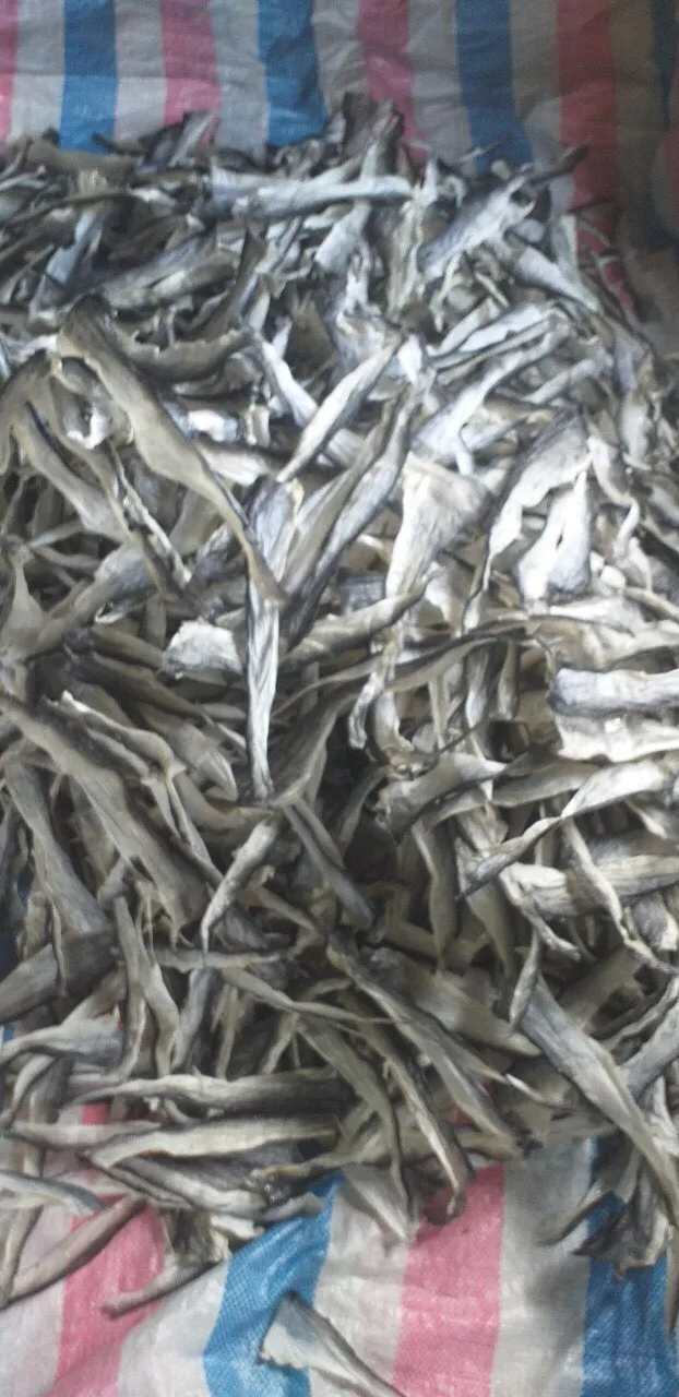 Dry Seafood Dried Fish Anchovy From Vietnam Cheap Price Oem Bulk