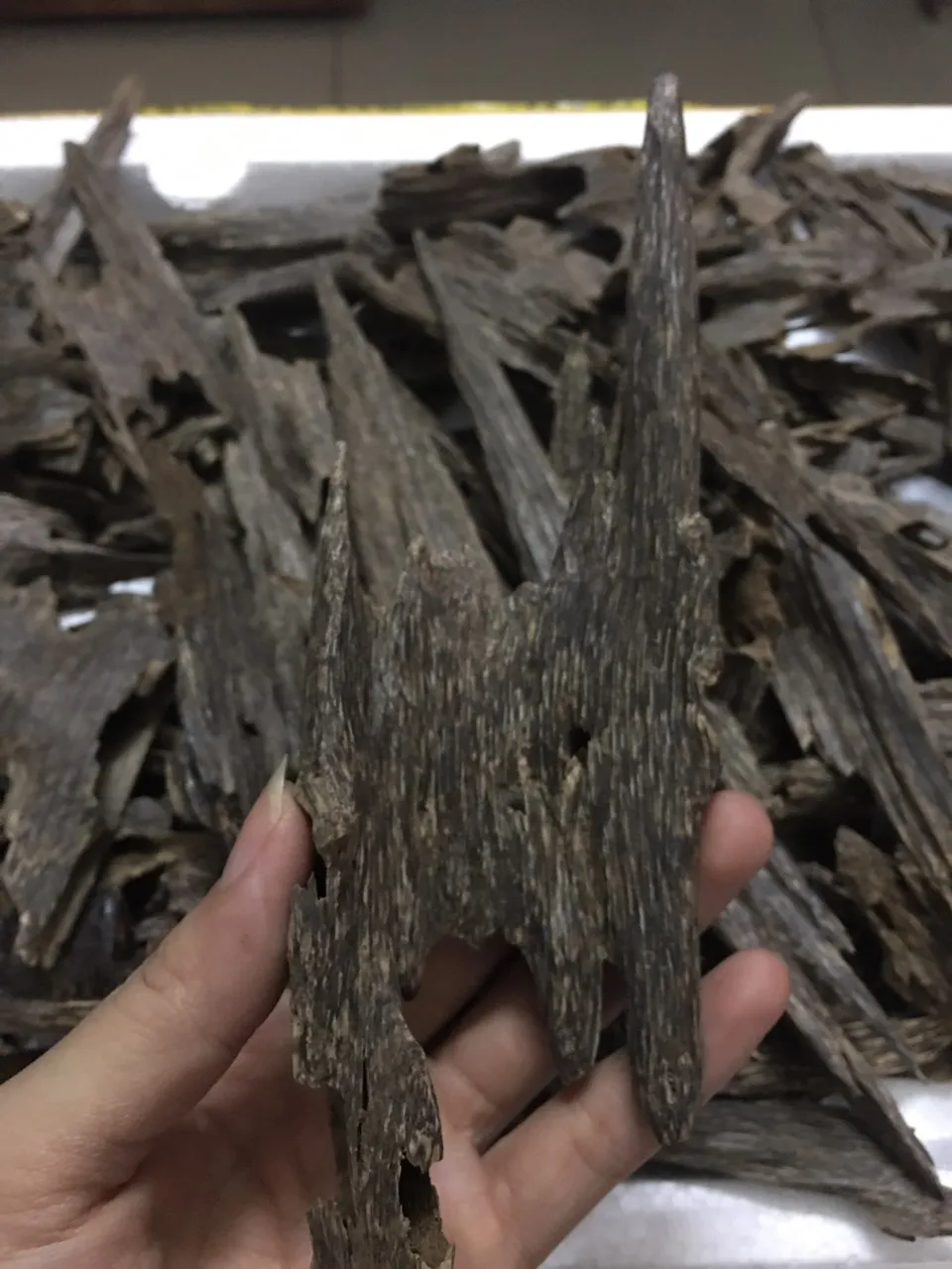 King Ant Oud Chip With High Quality For Burning Daily Home From Vietnam