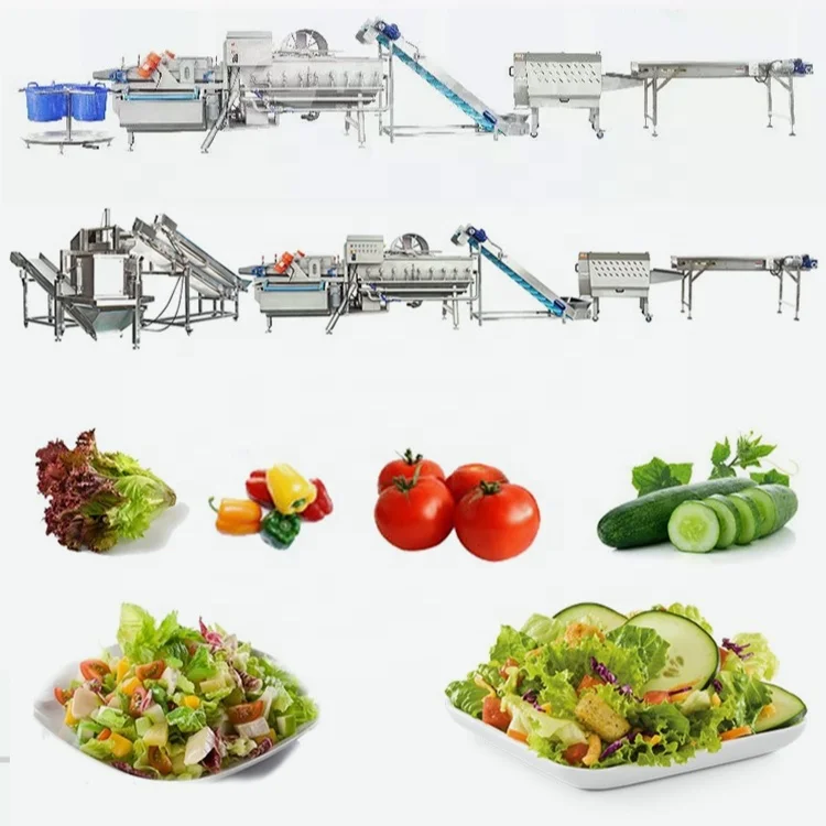 Broccoli Green Leaf Cabbage Potato Carrot Lettuce Pre Cut Vegetable Salad Processing Line details