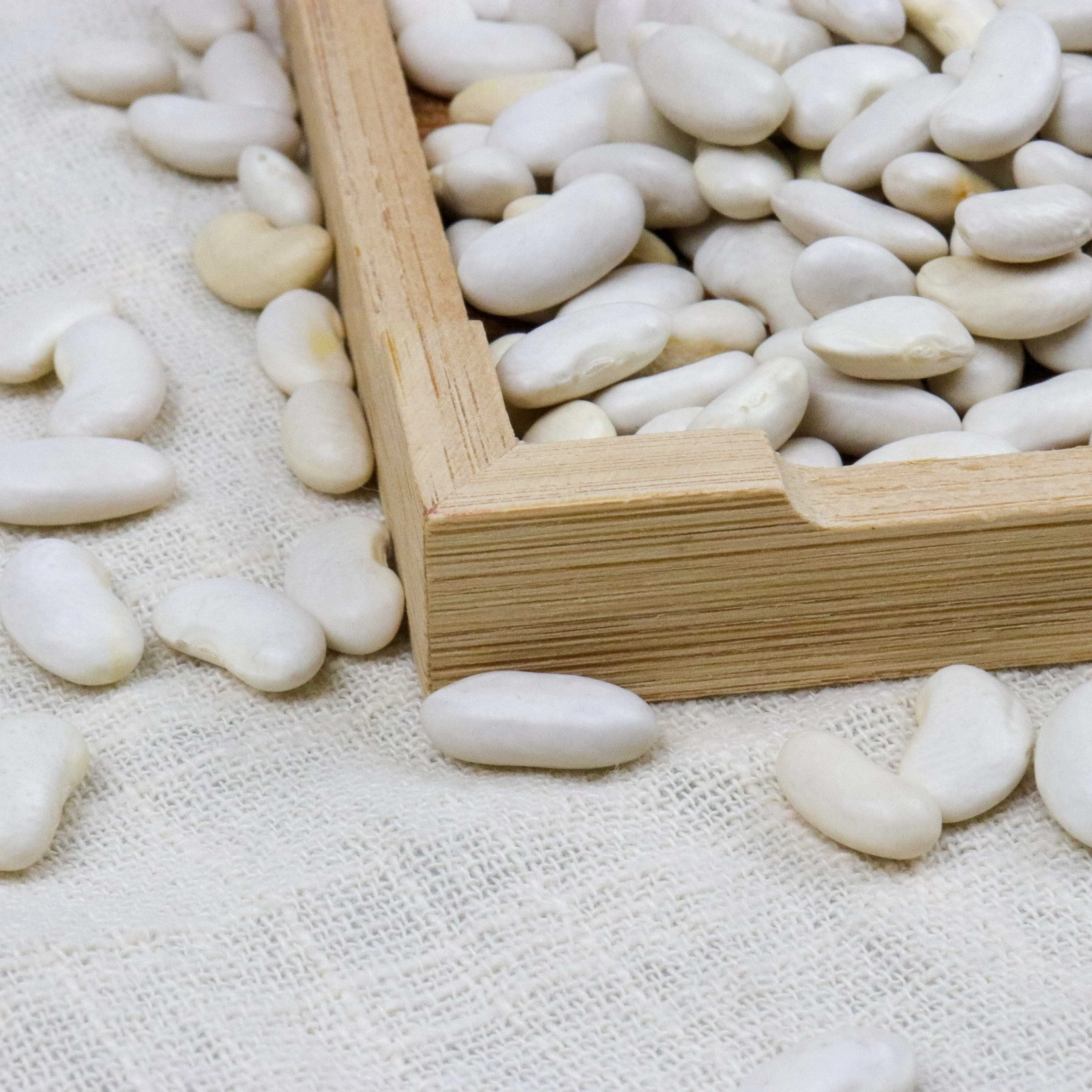 new crop dried lima beans for sale