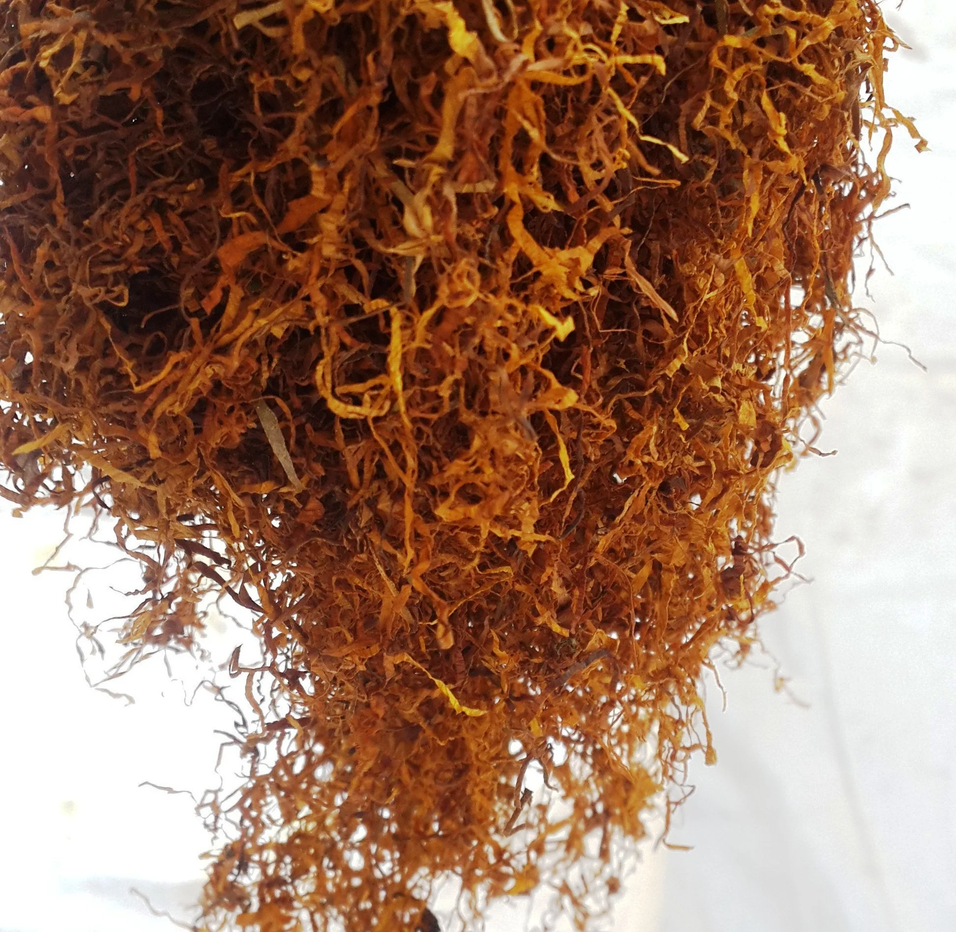 Barrys Tea Individually Wrapped Tea Bags - Bulk Pack - Catering Disposables