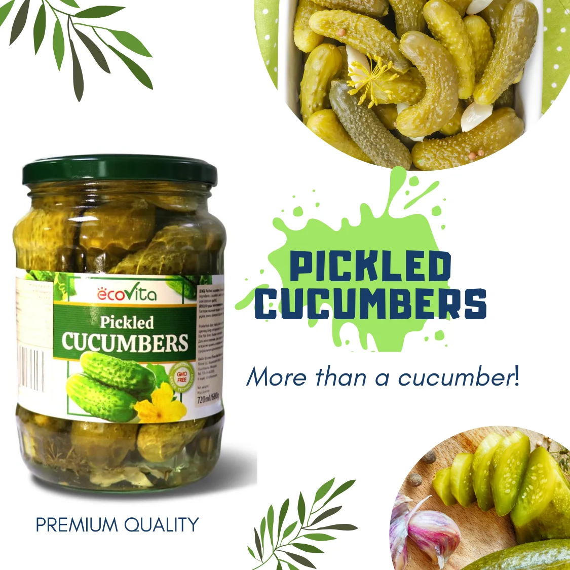 Cucumber Season Coming Top Quality Low Price Made In Vietnam Ecovita ...