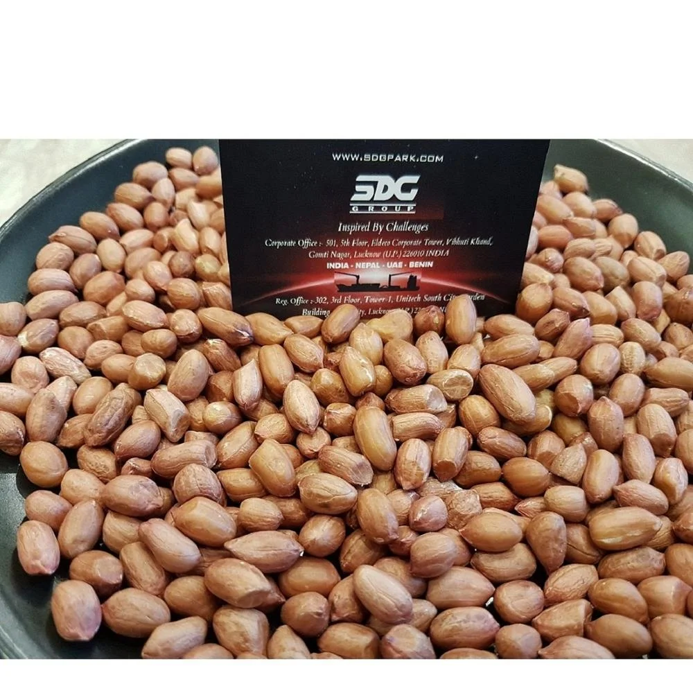 hot-sale-premium-quality-indian-raw-groundnuts-peanuts-bold-40-50