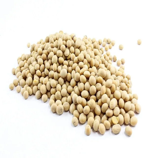 Soybeans Non Gmo Yellow Soybean / Soya Bean Seed Buy Soybeans Soya