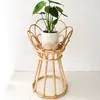 Natural rattan