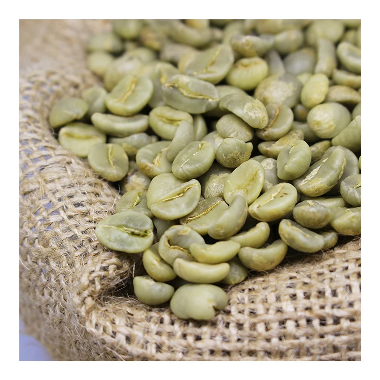 Export Quality Arabica Green Coffee Beans from South Africa