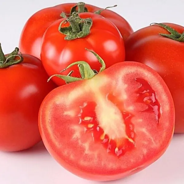 tomatoes 1.jpeg
