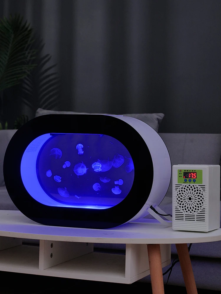 Spot Goods Offer Top Table Viewing Aquarium Jellyfish Ecological Tank
