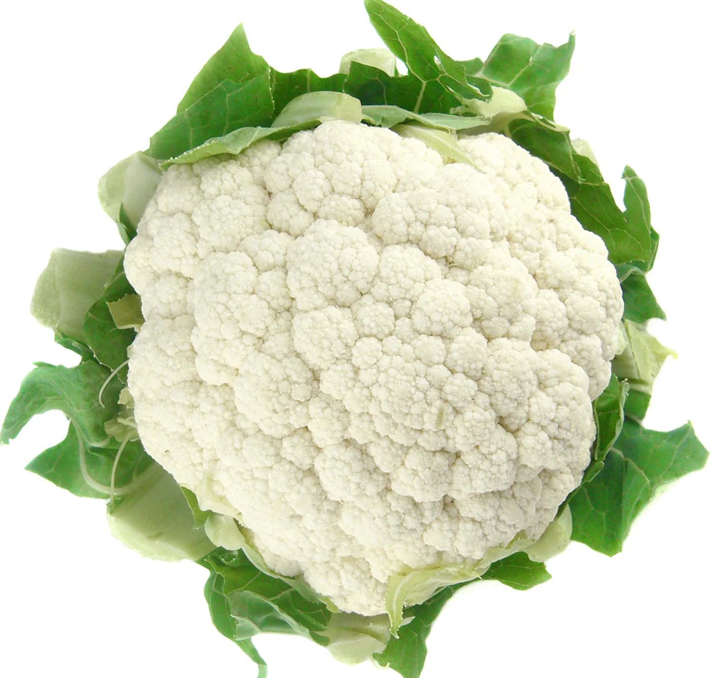 wholesale cauliflower/ fresh cauliflower vegetable / fresh