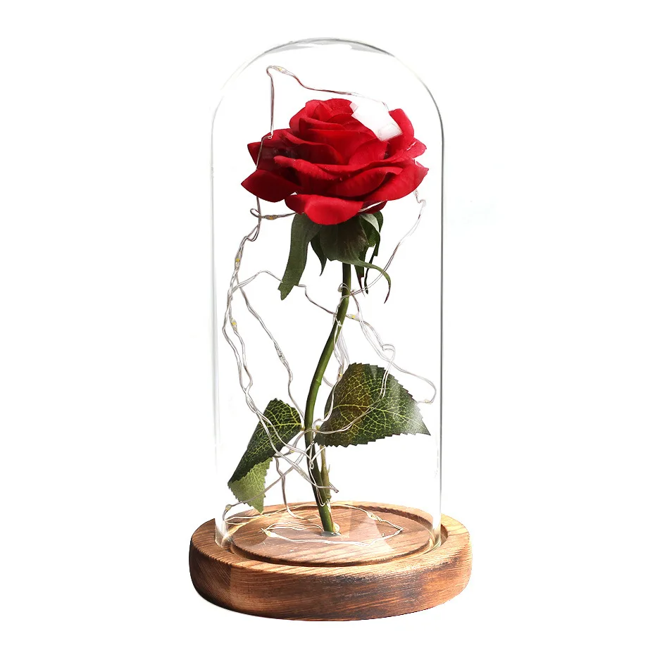 Mother Day Present Valentine's Day The Beauty and Beast Eternal Rose in Glass 