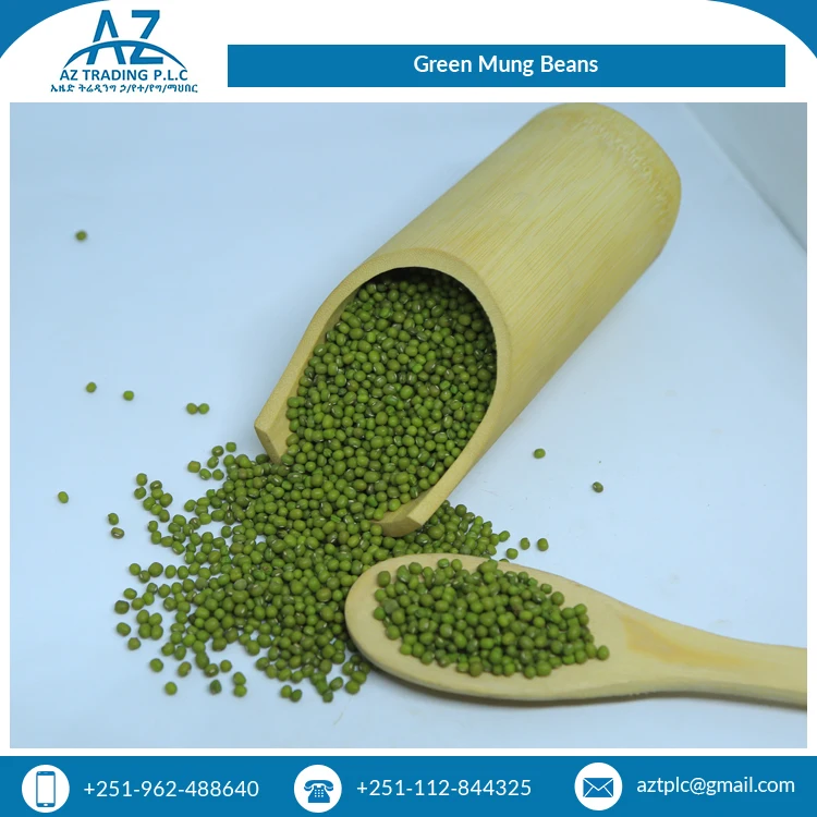 Ведущий экспортер исключительного качества сушеных видов органического культивирования зеленых бобов мунг для оптового