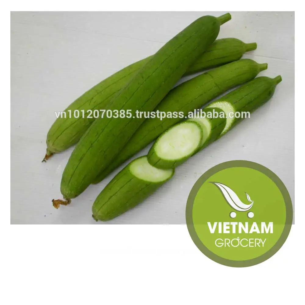 Zviozdocika balsam 16 g N 1 Vietnam antihelmintic