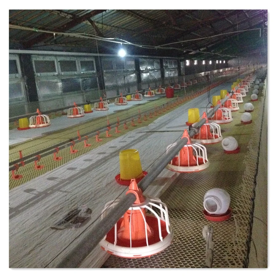 Full Set Automatic EC Type Closed Poultry Shed Equipment for Broiler