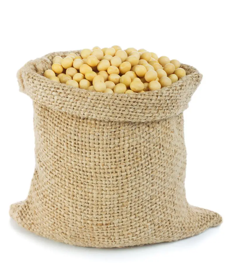 Soyabeans 5.jpg