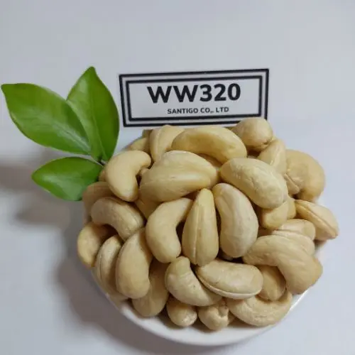High Quality Raw Cashew Nuts W320 With Good Price And All Size Raw