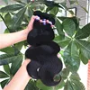 Body Wave