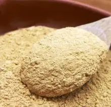 Beer Meal Residue - Dried Brewer's Yeast Powder Cheap Price From Vietnam/ Ms. Lima