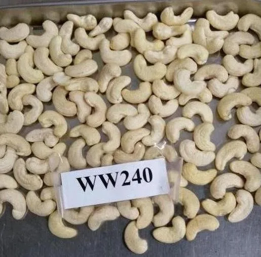 WW320 Dried Cashew Nut/Organic cashew Nuts W180 W240 W320 W450