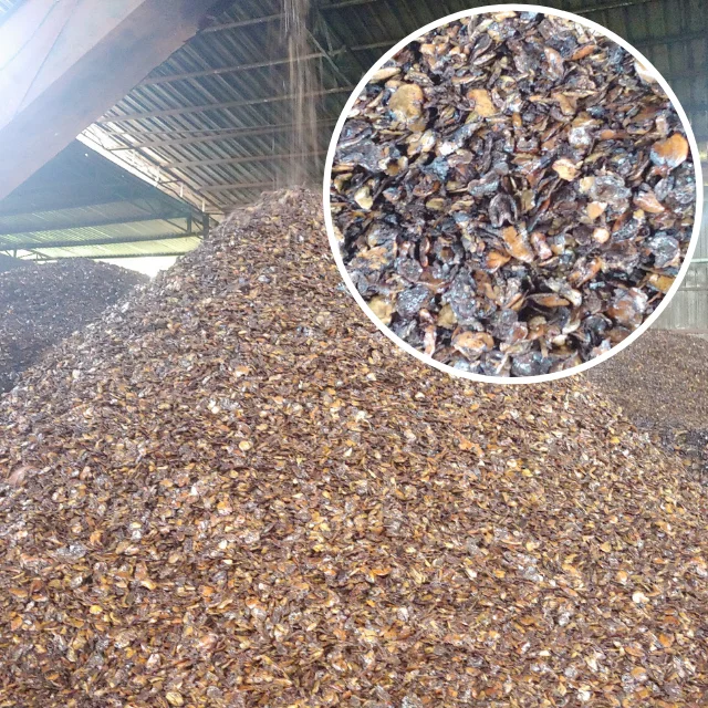 Agricultural Waste Cashew Nut Shell With Good Price Cashew Nut Shell