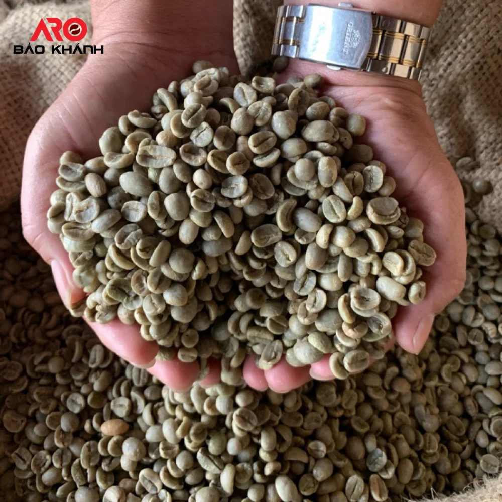 Good Price Roasted Coffee Beans Viet Nam Hiva's Coffee 100% Pure ...